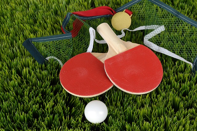 Sådan vælger du den perfekte bordtennisbold: En guide til begyndere